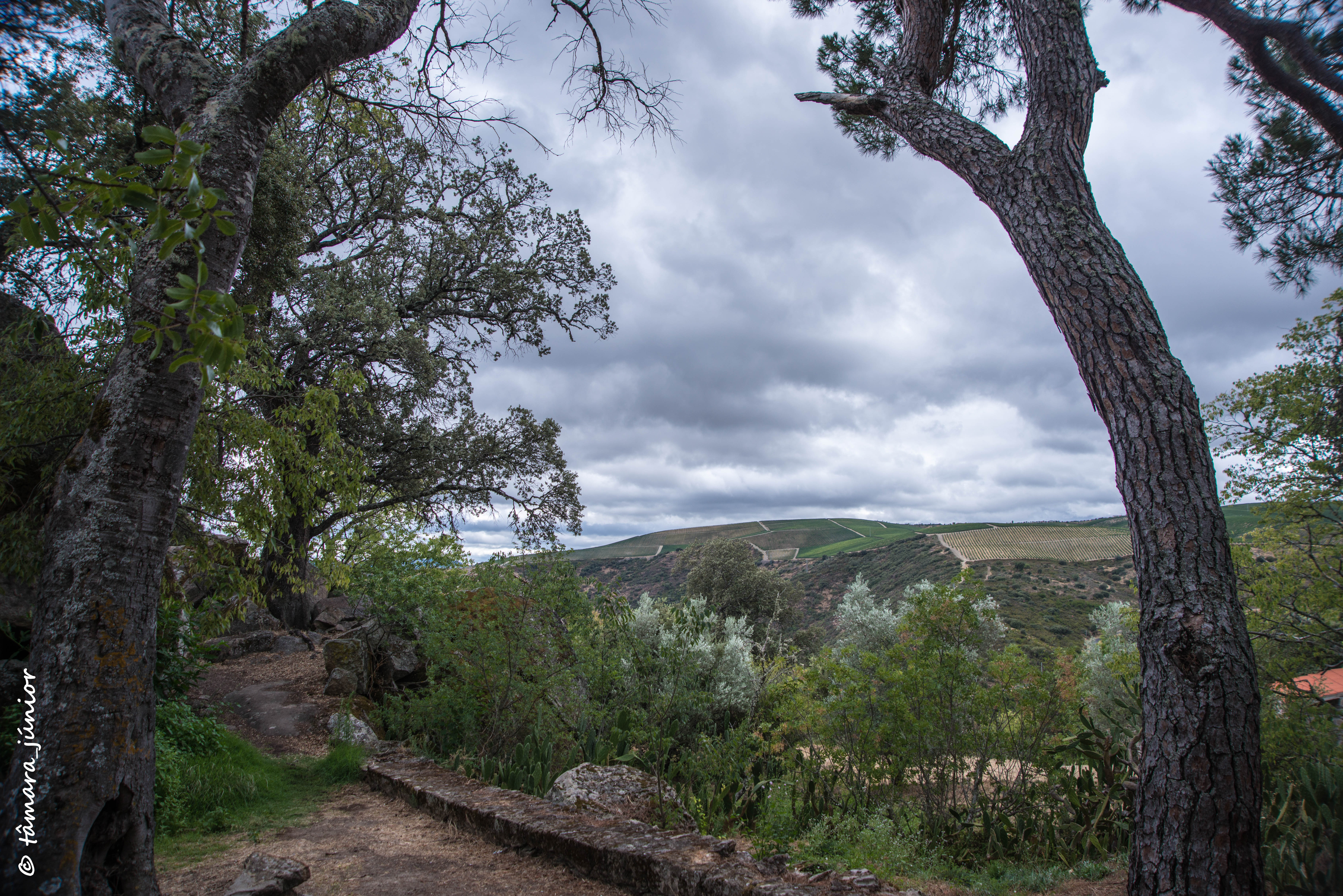 2015 - Pescaria na Ferradosa (203).jpg