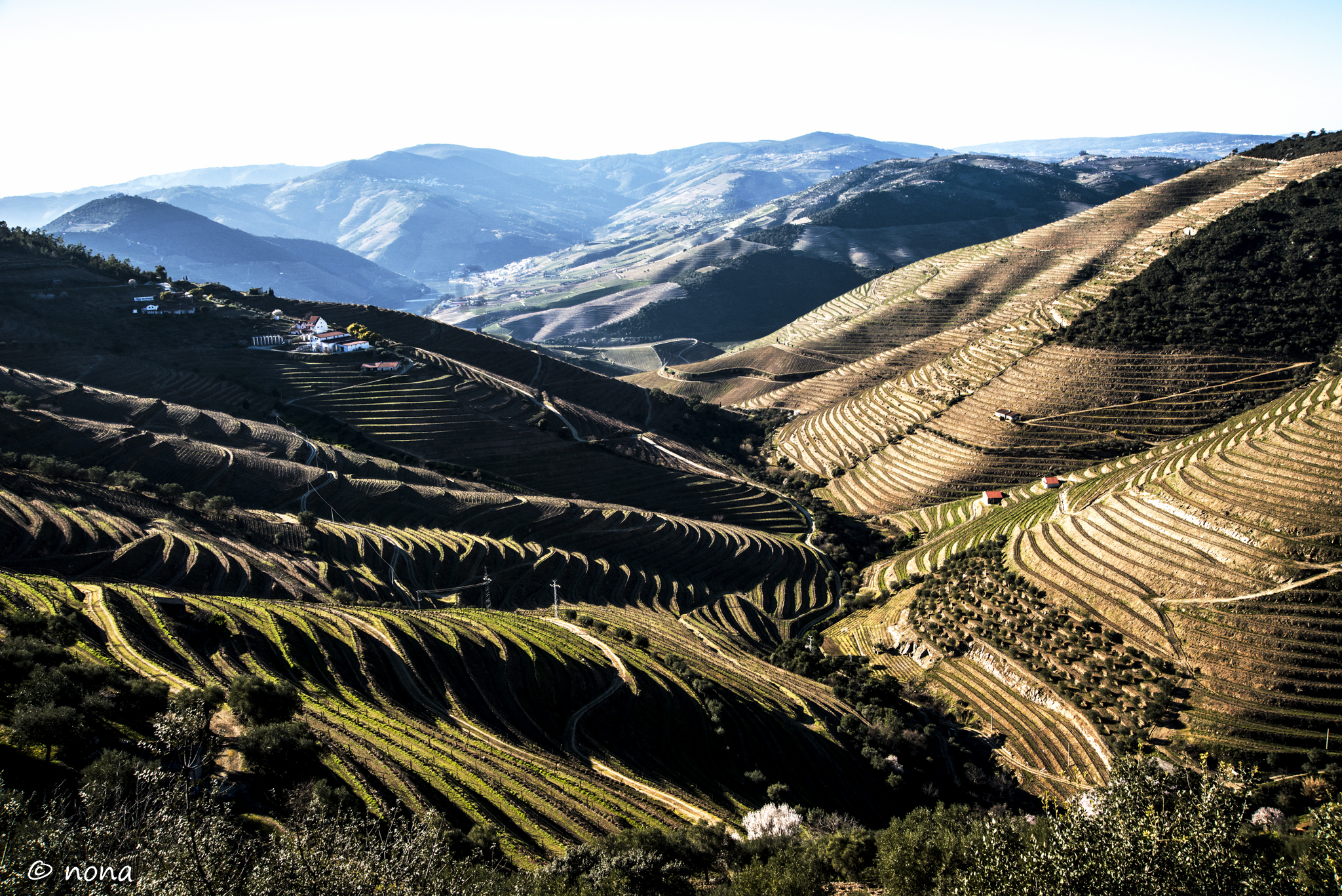 2015 - Rota das Amendoeiras (370).jpg