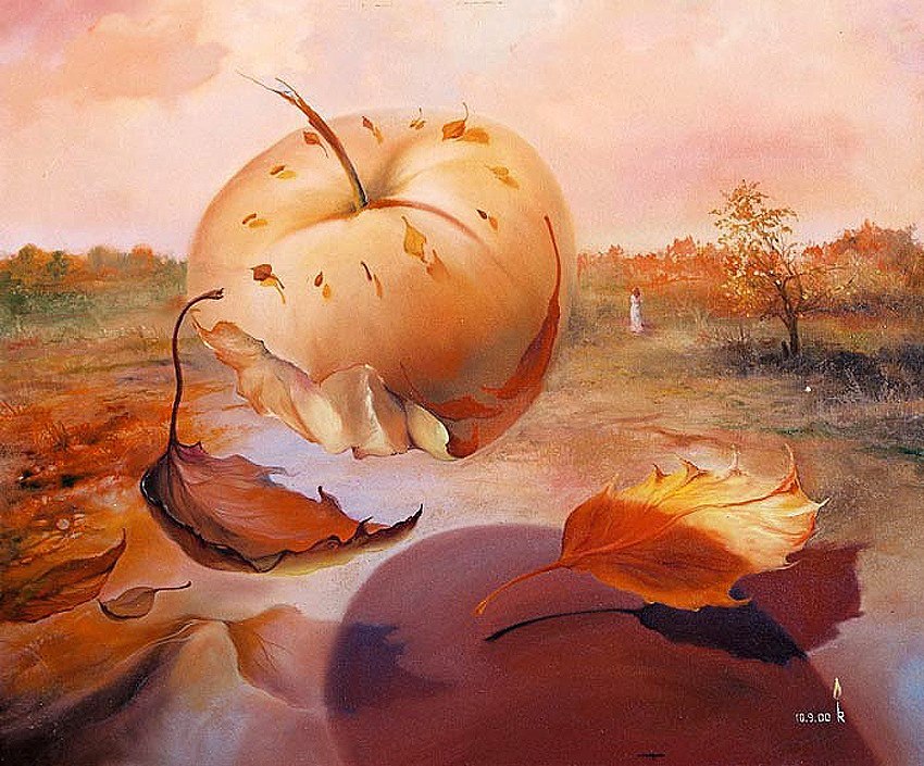 11949456_1601065296826380_4688159338775012599_n.jp