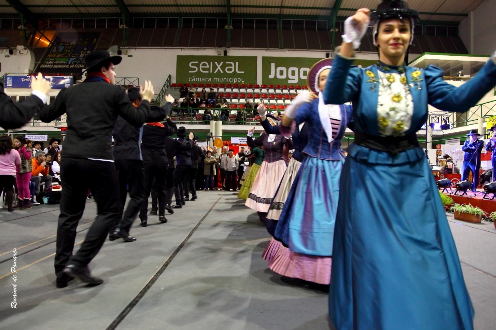 Soito da Ruiva em Corroios Seixal (0017)