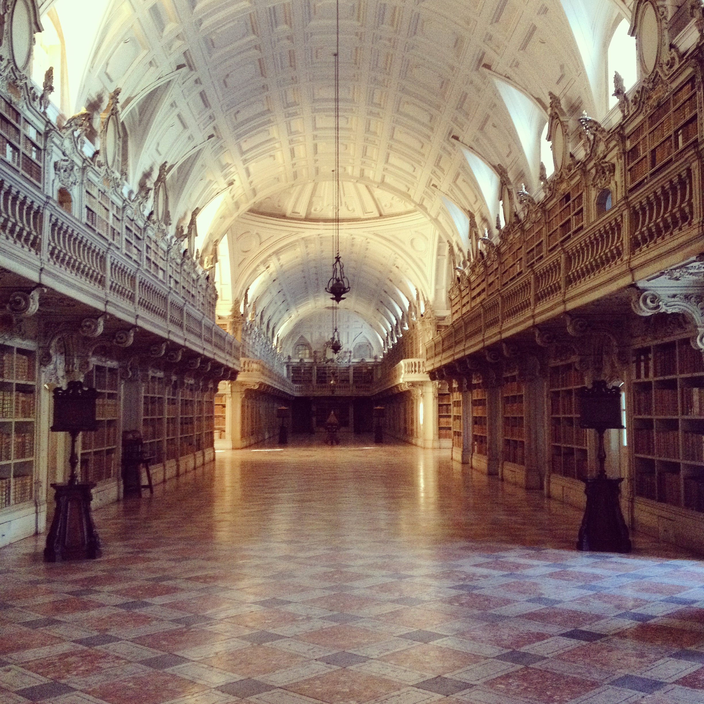 IMG_3380.JPG IMG_3380.JPG