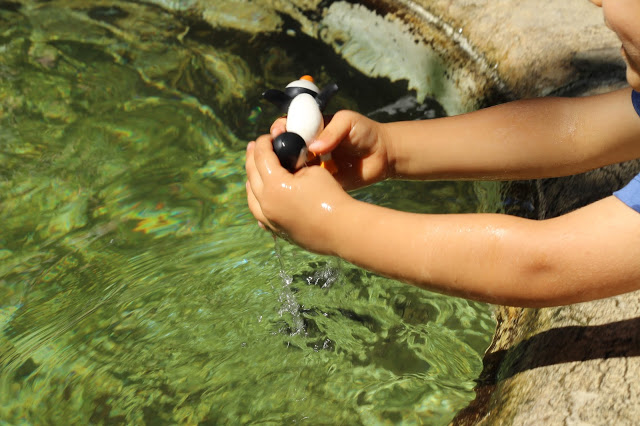 passeios em família + praça das flores + são bento + jardins de lisboa + parques de lisboa + fonte + brincar no jardim + crianças + actividades para crianças + actividades fora de casa