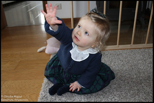 Festa do 1º aniversário da Clarinha - Casinhas e Passarinhos