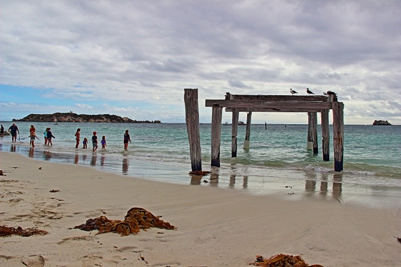 hamelin bay 8 (800x533)