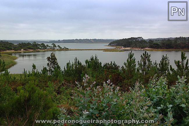 18612702_ZY125-Pedro Nogueira Photography.jpeg