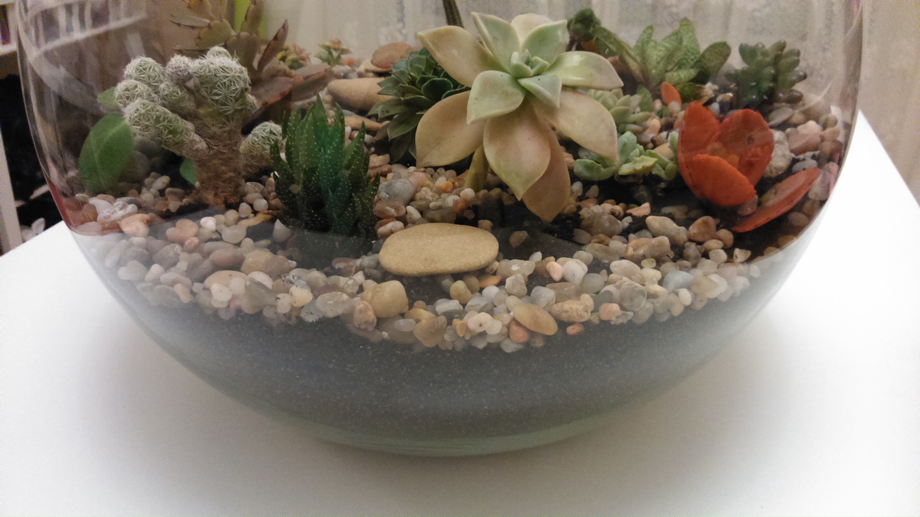 DSC_0879.jpg DSC_0879.jpg