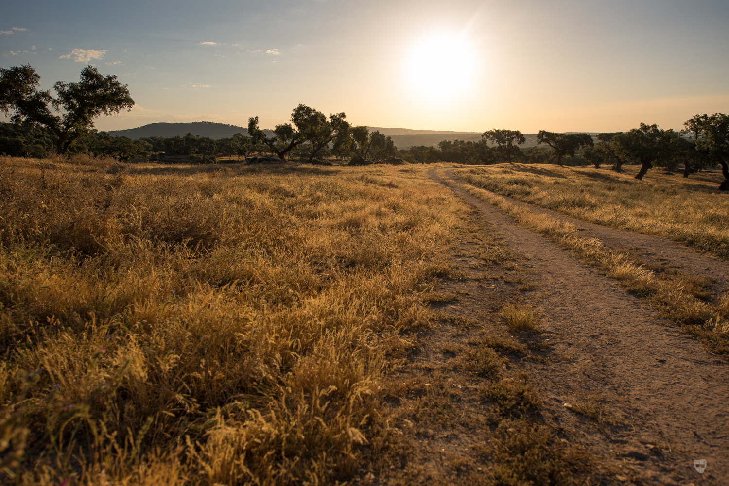 Monte Velho-30.jpg Monte Velho-30.jpg