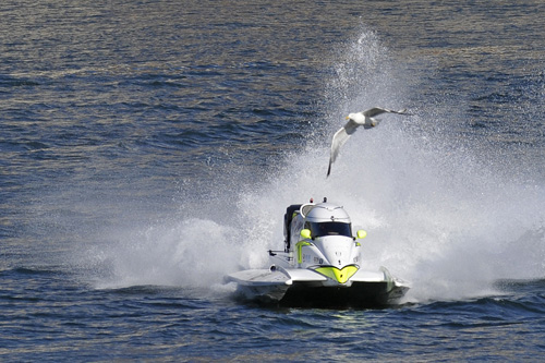 Blogue_F1Porto2015_7.jpg Blogue_F1Porto2015_7.jpg