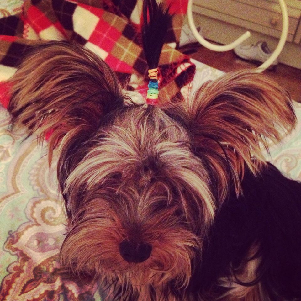 1058034_4593728454711_343318095_o.jpg 1058034_4593728454711_343318095_o.jpg