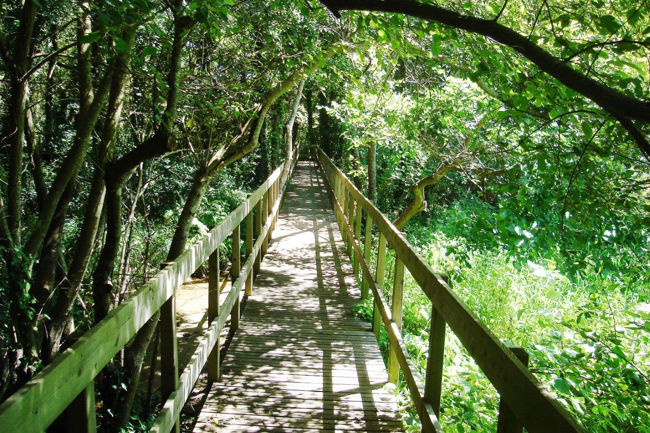 Lagoa de Bertiandos (Ponte de Lima).jpg Lagoa de Bertiandos (Ponte de Lima).jpg