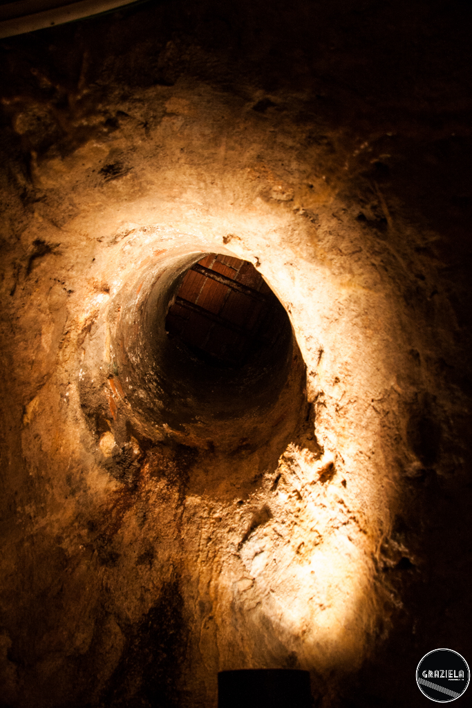 Galerias_pequenas-8858.jpg Galerias_pequenas-8858.jpg