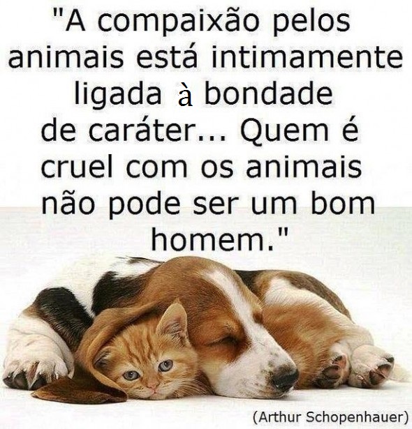 1363170439263 COMPAIXÃO.jpg