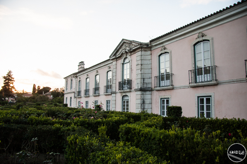 Museu_Teatro-1556.jpg Museu_Teatro-1556.jpg