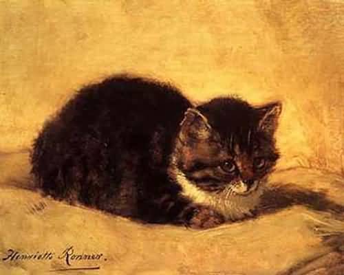 Henriette-Ronner-Knip-1