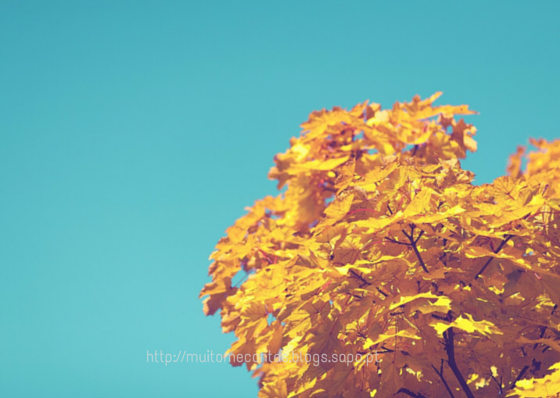 Copy of 5 apps para ser mais feliz (2).png