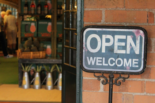 açores + arquipélago dos açores + são miguel + estufa de ananases + ananás + ananás dos açores + viajar com filhos pequenos + panazorica