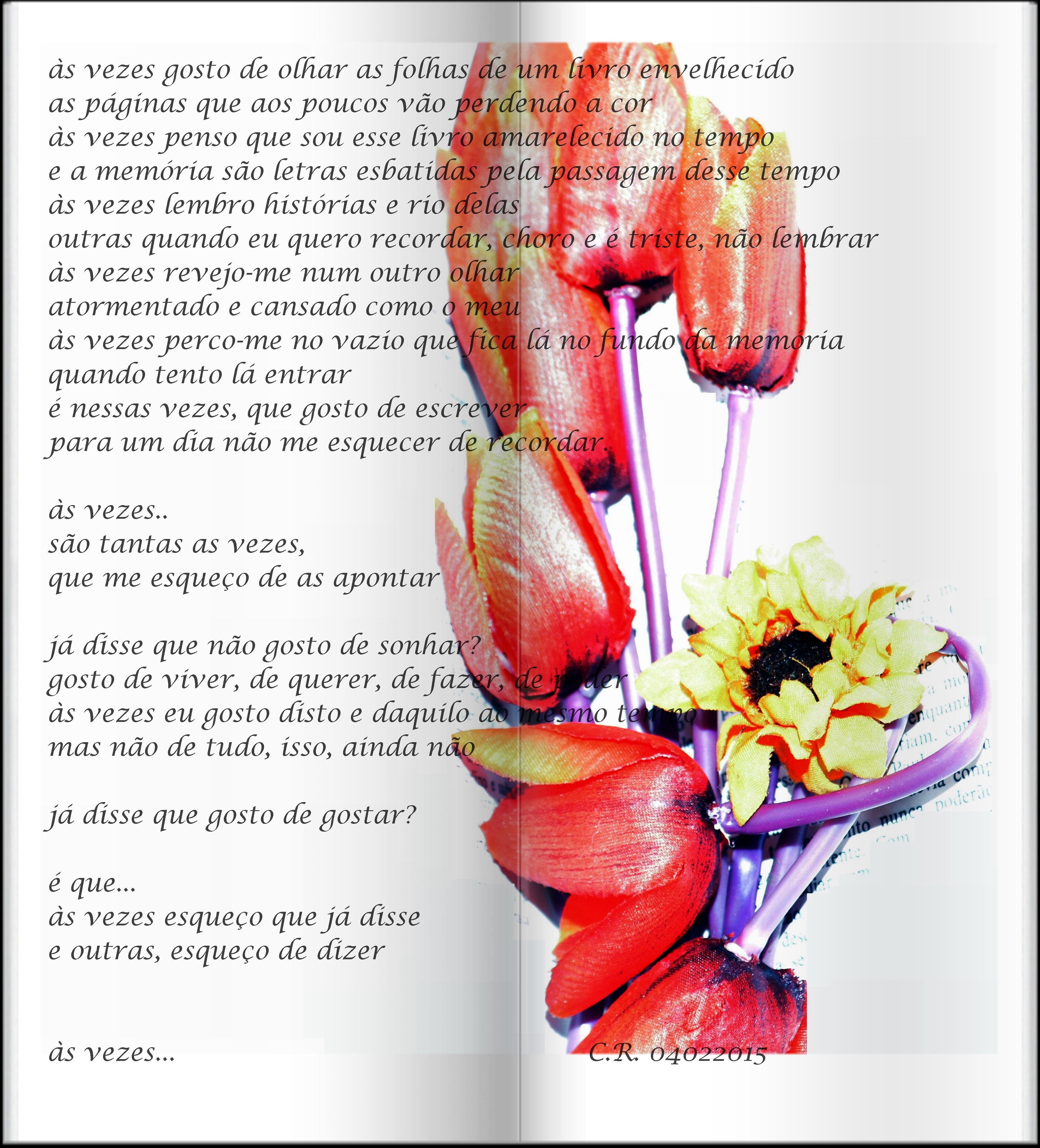 o livro do as vezes.JPG