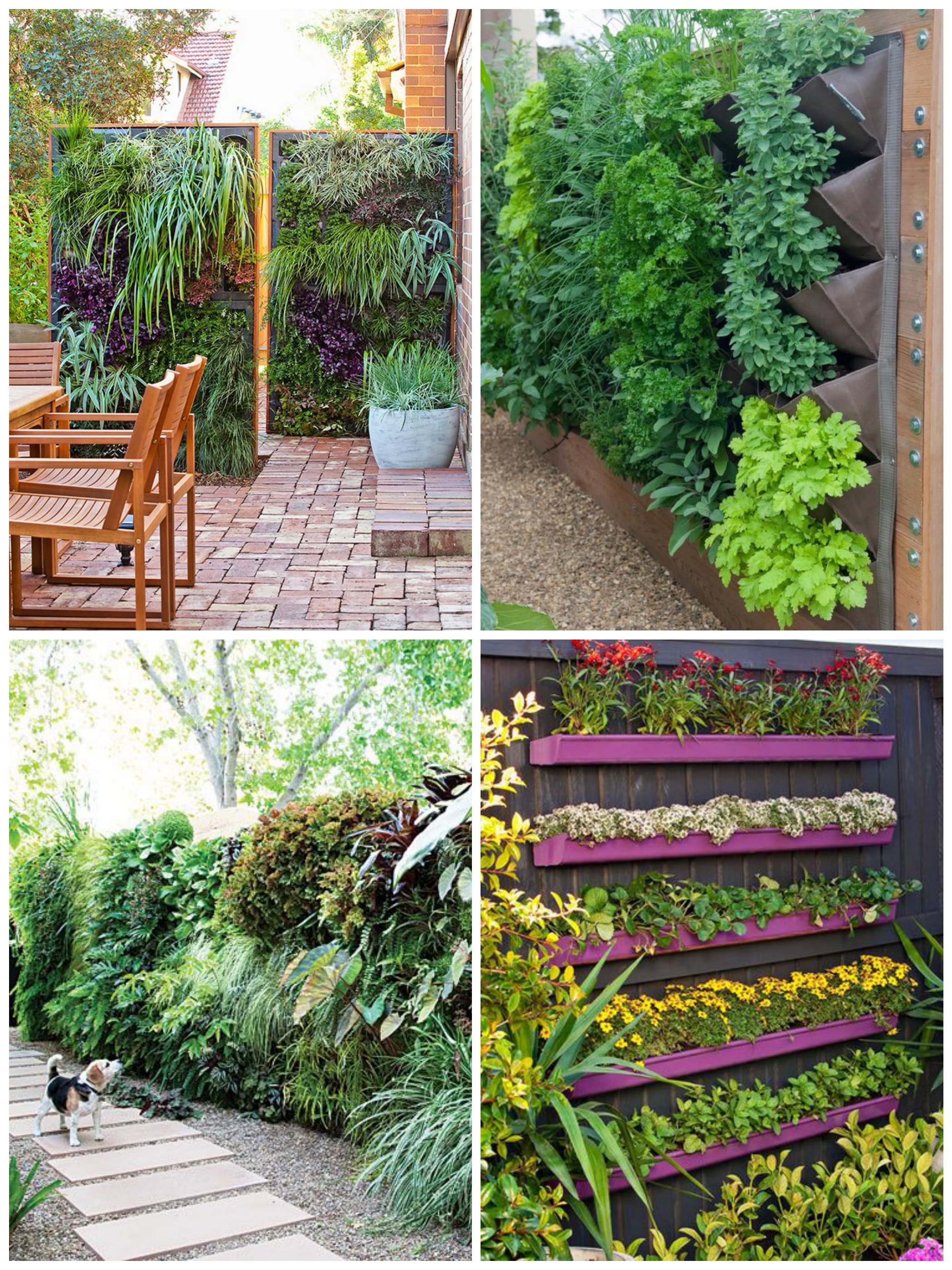 4e4be9cb50d92fc095817739aba247a0_Fotor_Collage.jpg 4e4be9cb50d92fc095817739aba247a0_Fotor_Collage.jpg