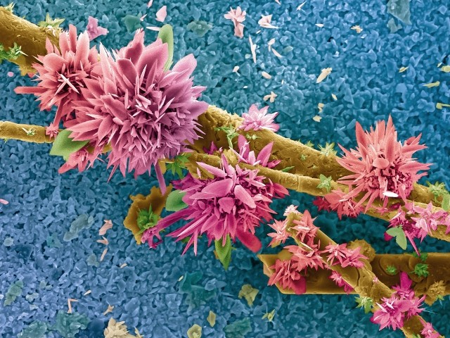 ???????????????????????????????????