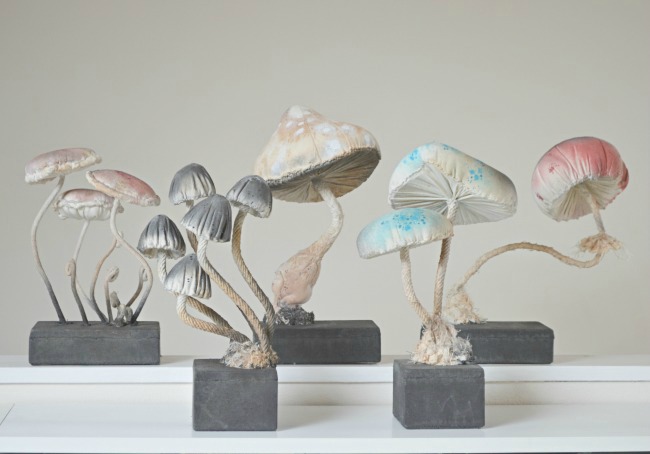 MisterFinch05 by HContadas