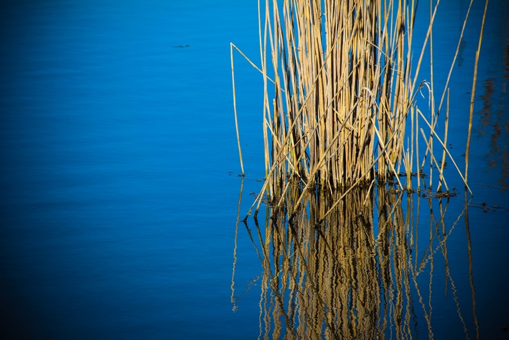 lagoa da estacada b 22