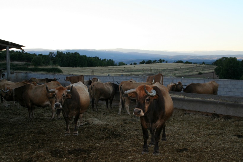 PNM26 by HContadas.jpg