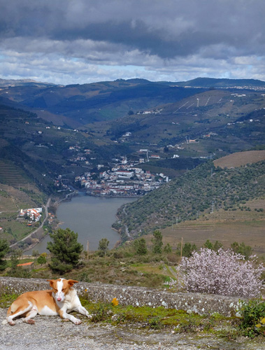 Blogue_Douro9_v2_2014.jpg Blogue_Douro9_v2_2014.jpg