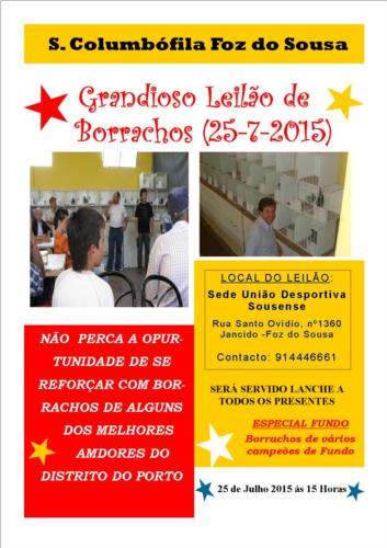 Leilão Foz do Sousa.jpg