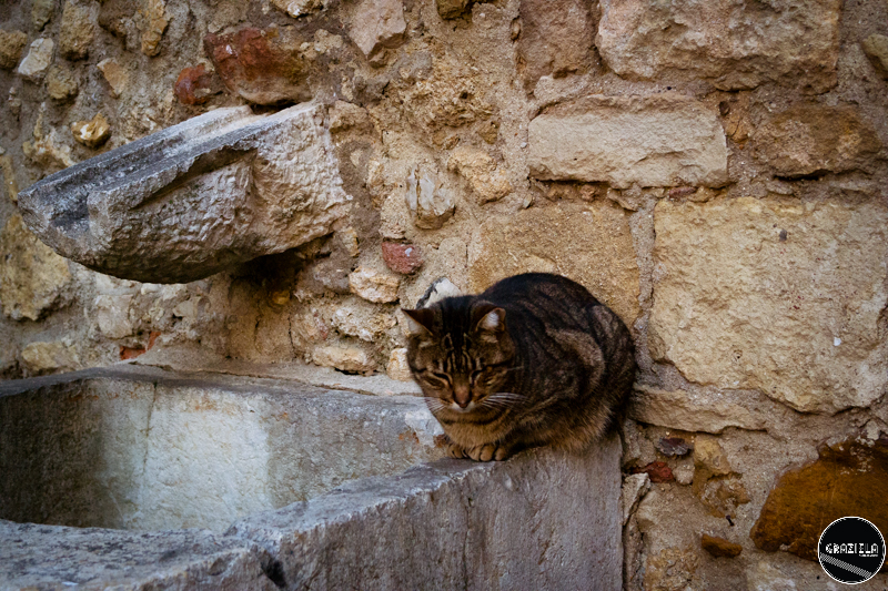 Castelo_pequenas-24.jpg Castelo_pequenas-24.jpg