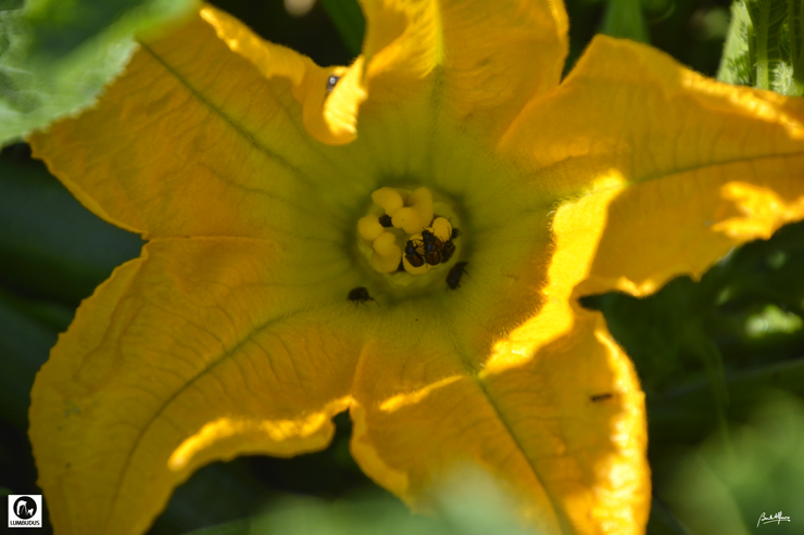 05_D701832.JPG