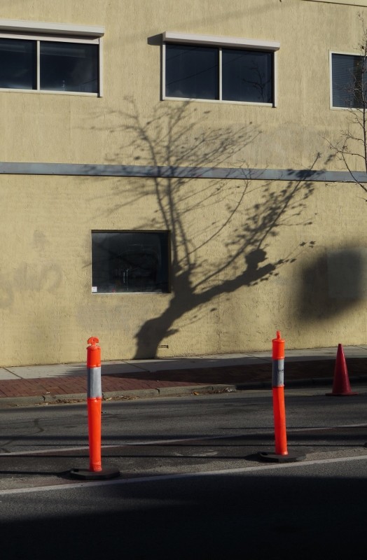 shadow_cambridge_street