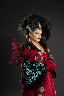 A cinderela no gelo + espectáculo de natal + musical de natal + centro comercial de alfragide + madrasta má