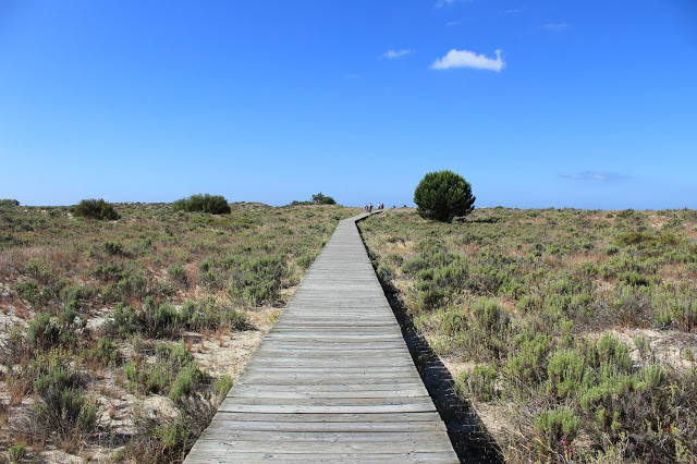 brincadeiras em família + península de tróia + tróia resort +parques infantis + espaços verdes + beach houses tróia resort +  férias em família + aqualuz hotel + viajar em família + férias perto de lisboa + praia + tróia-bico de lulas + escapadinha em família + hóteis bons para famílias 