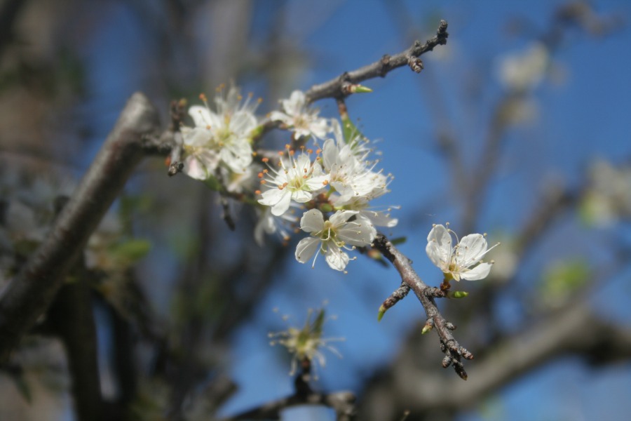 Expo04 by HContadas.jpg