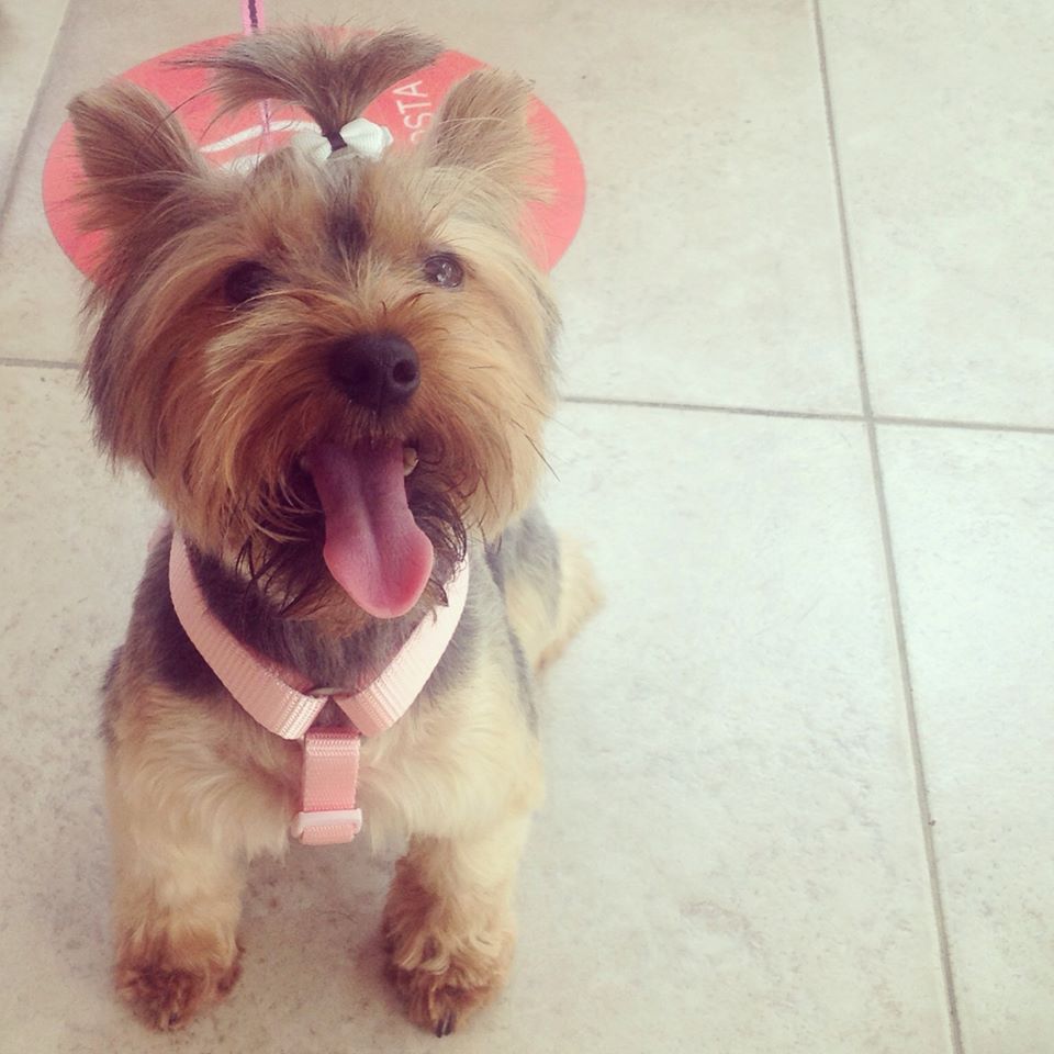 10455491_10201502409515597_61110275_n.jpg 10455491_10201502409515597_61110275_n.jpg