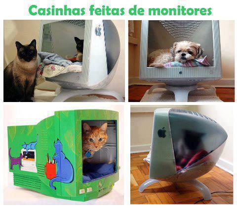 casas para gatos