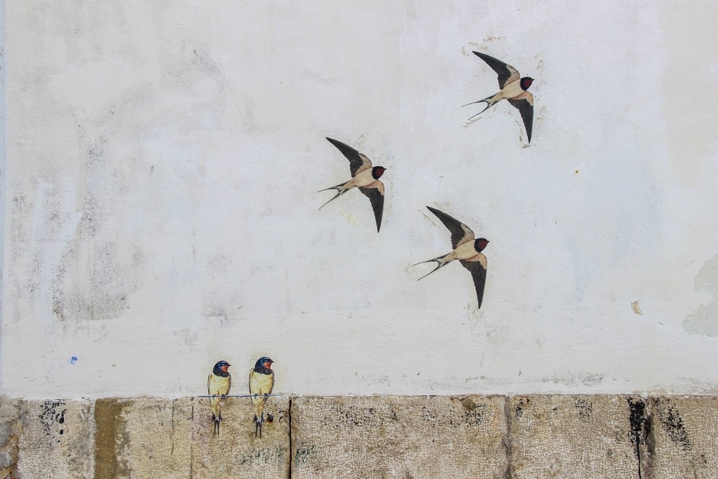 andorinhas_alfama 4