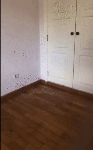 ezgif.com-video-to-gif (2).gif