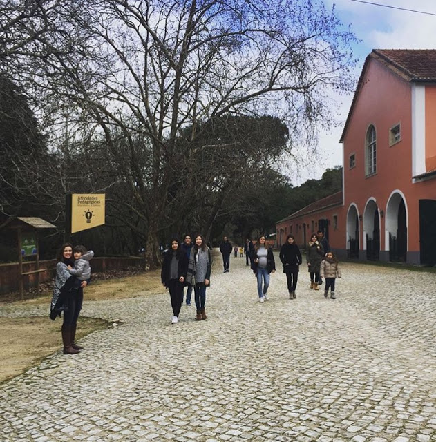 Tapada Nacional de Mafra + Eventos + Save the date + acitvidades em família + mafra + natureza