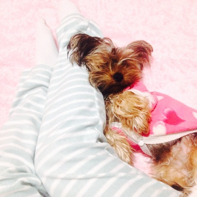 1555362_10200732656392250_601171075_n.jpg 1555362_10200732656392250_601171075_n.jpg