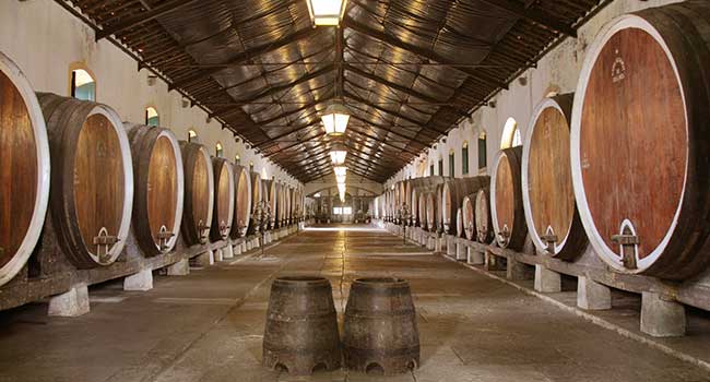 Adega Regional de Colares