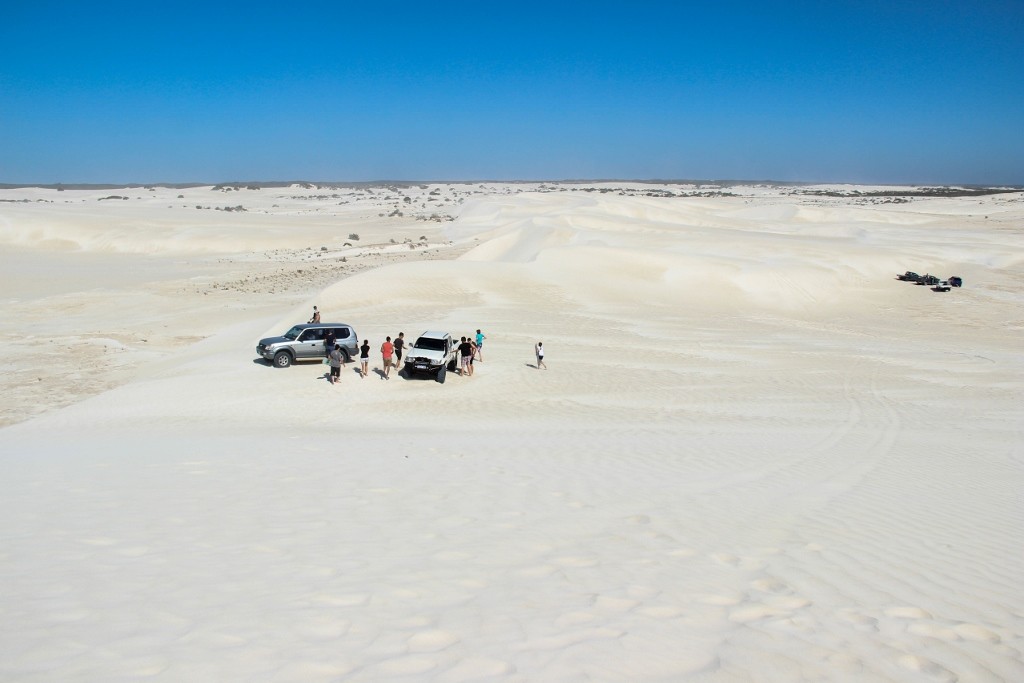 sandbourd lancelin a 12