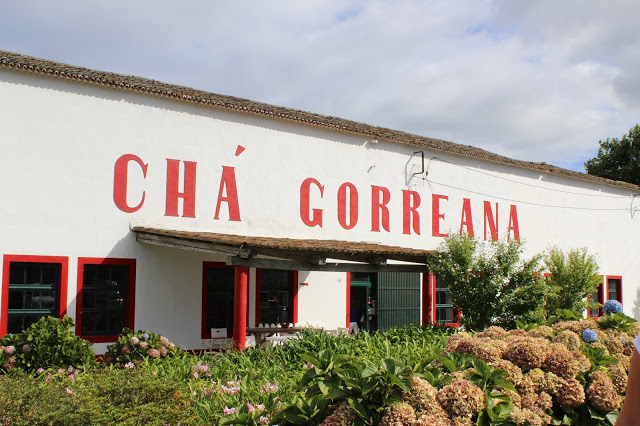 Açores + Azores + Arquipélago dos Açores + Ilha de São Miguel + chá dos açores + chá gorreana + fábrica de chá + plantações de chá dos Açores + visitar portugal + beleza dos Açores + viajar em família