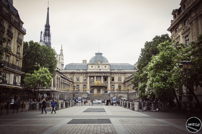 _SAM5037-52.JPG _SAM5037-52.JPG