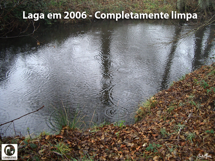 IMGP0430-Blogue.jpg