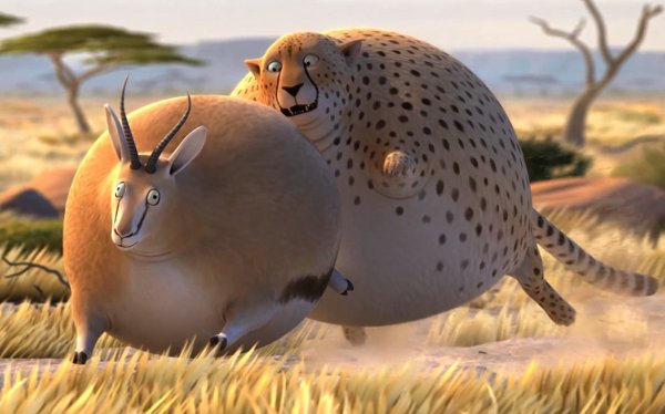 animais selvagens obesos