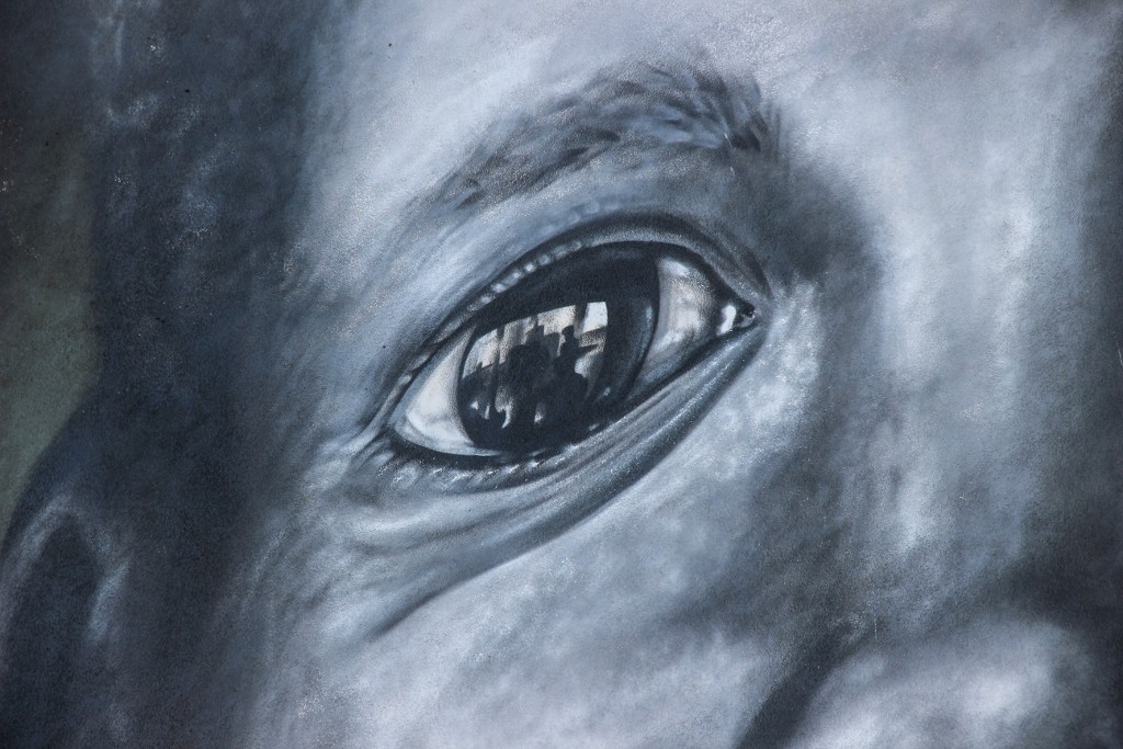 quinta do mocho o bairro i o mundo c 35