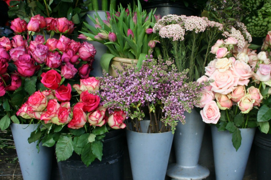 Portobello08 by HContadas.jpg