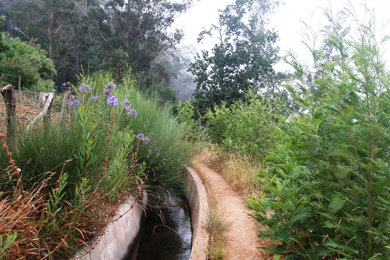 vento Fazenda ou moinho de vento dentro nublado clima dentro