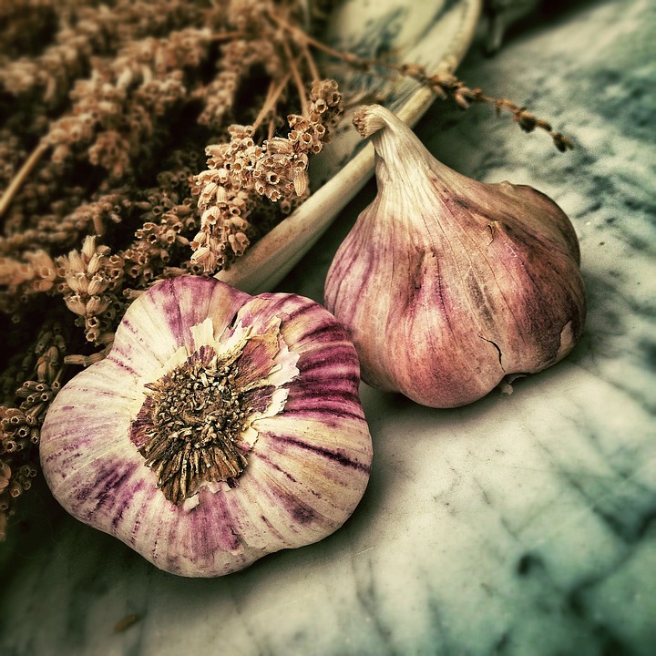 garlic-139659_960_720